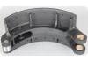 Brake Shoe:DAF203